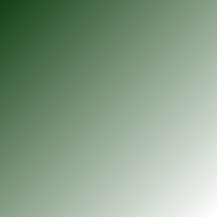 Retro Green